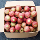 Image for article titled Apple Apples Are Not from Apple